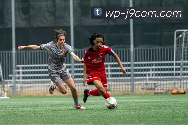 App Interface Preview